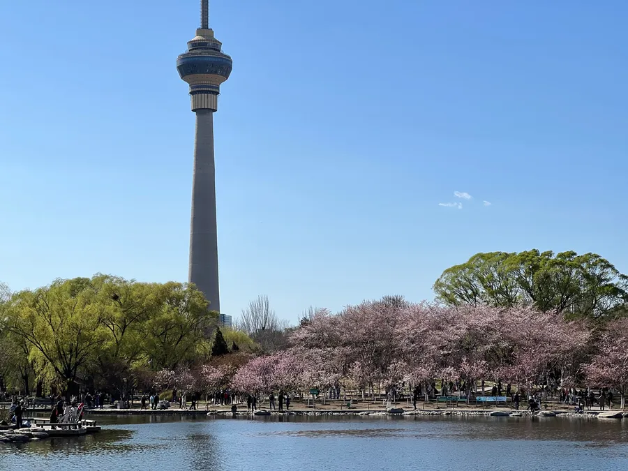 【北京溜达日记】20220331 photo 1
