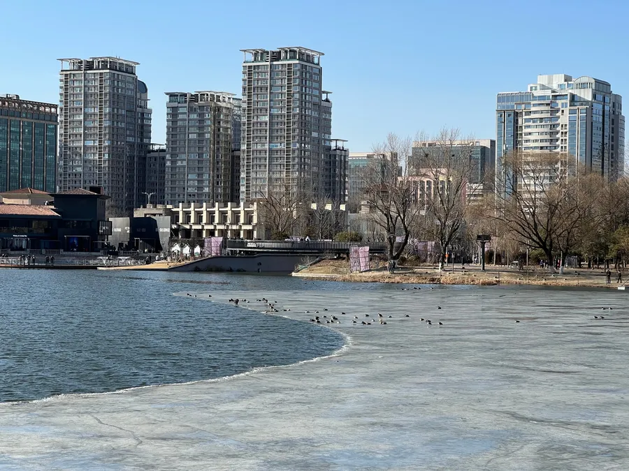 【北京溜达日记】20230219 photo 2