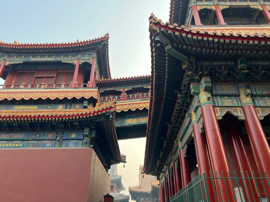 【北京溜达日记】20230226 photo 3