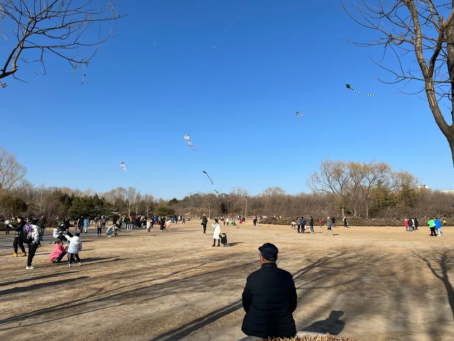 【北京溜达日记】20230219 photo 3