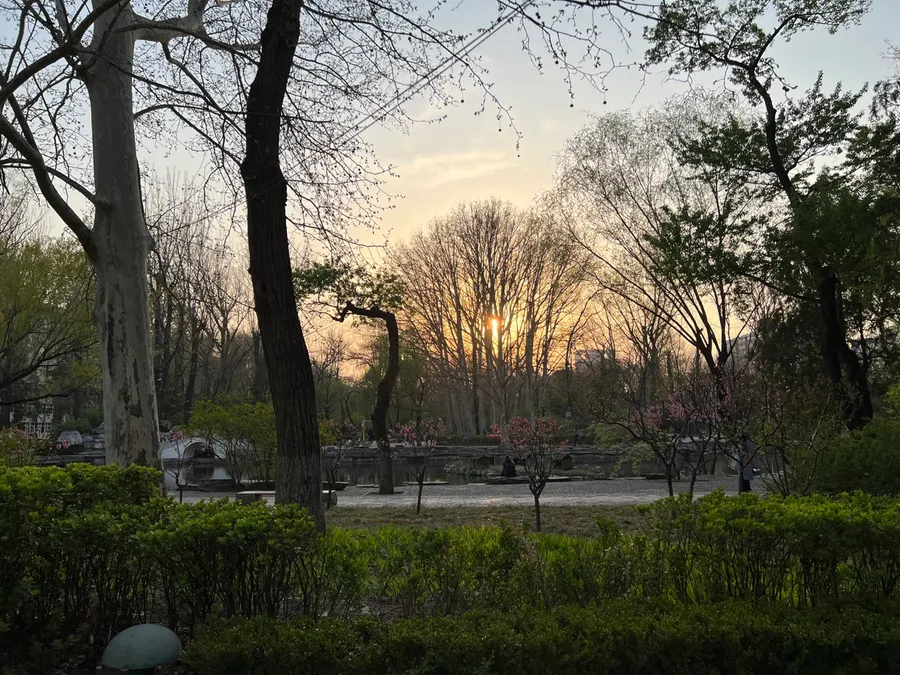 【北京溜达日记】20220407 photo 3