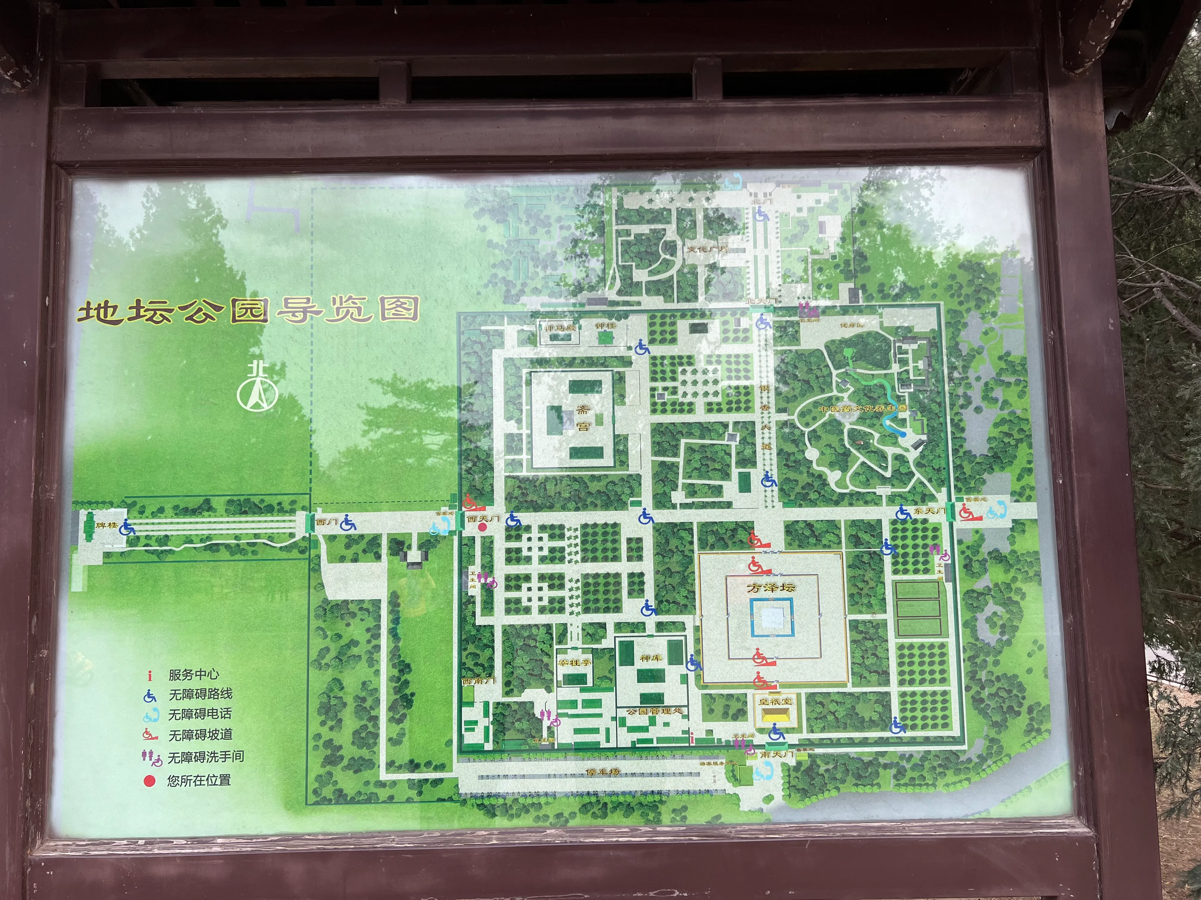 IMG_1698.jpeg