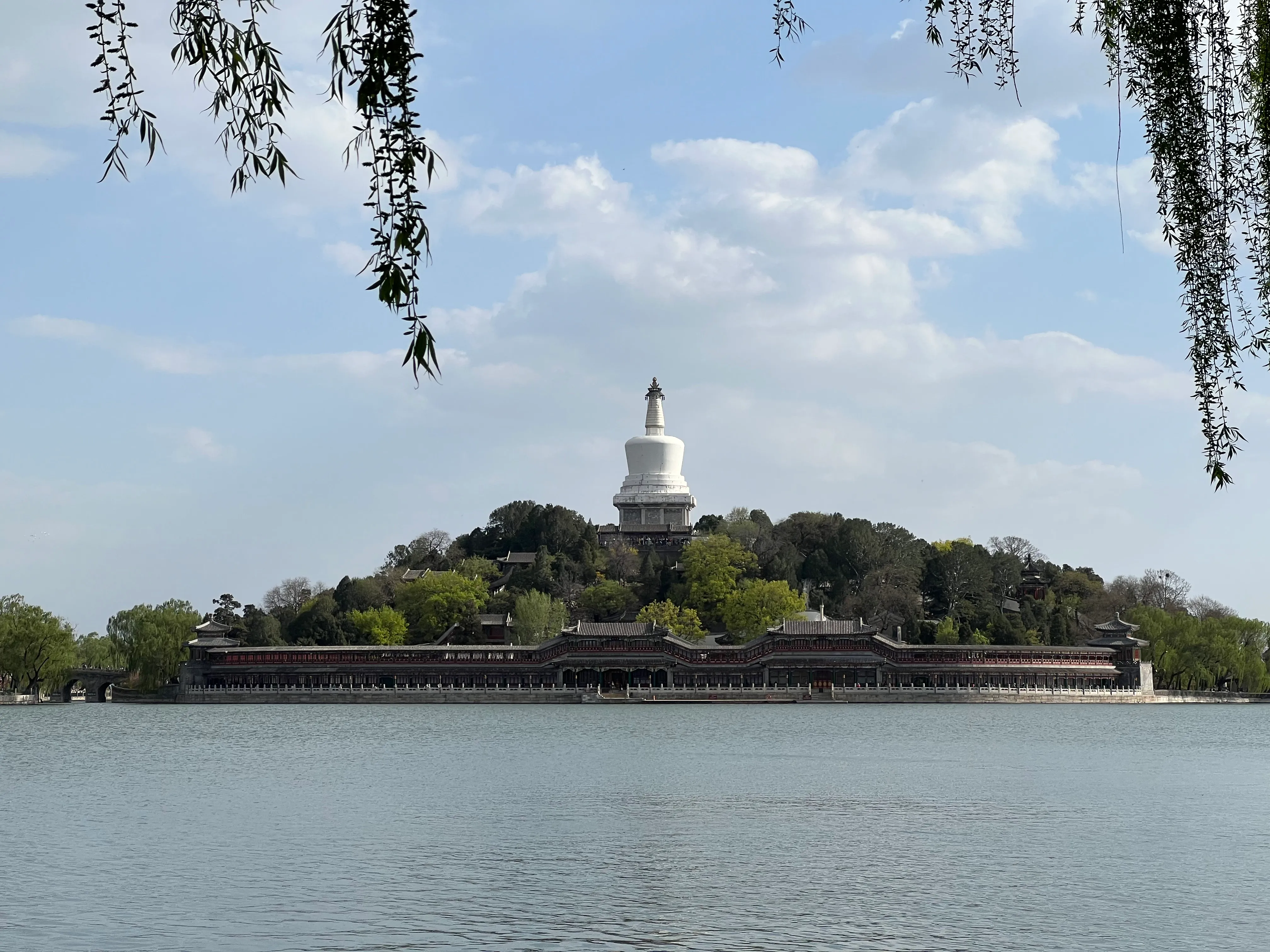 IMG_3263.jpeg