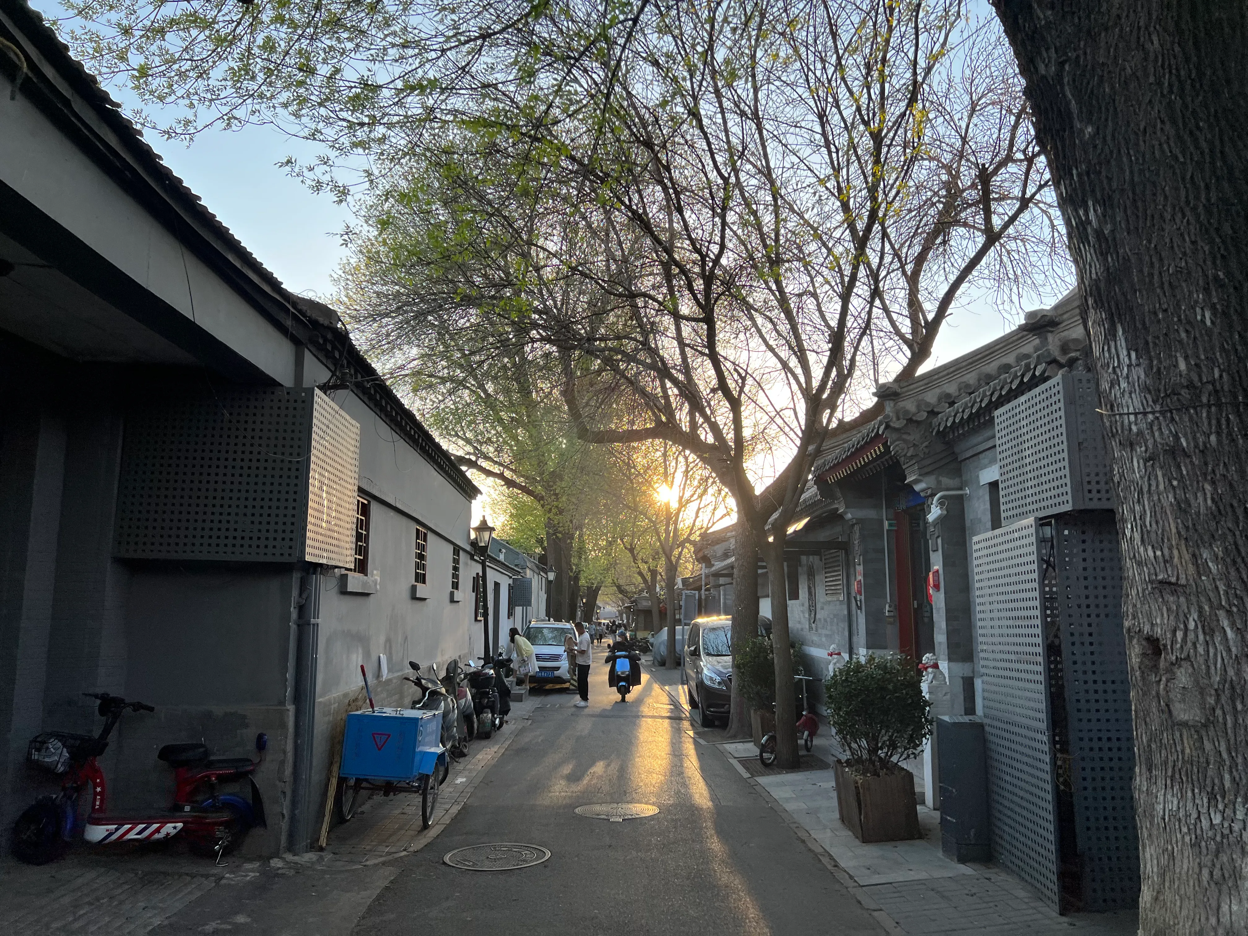 IMG_3263.jpeg
