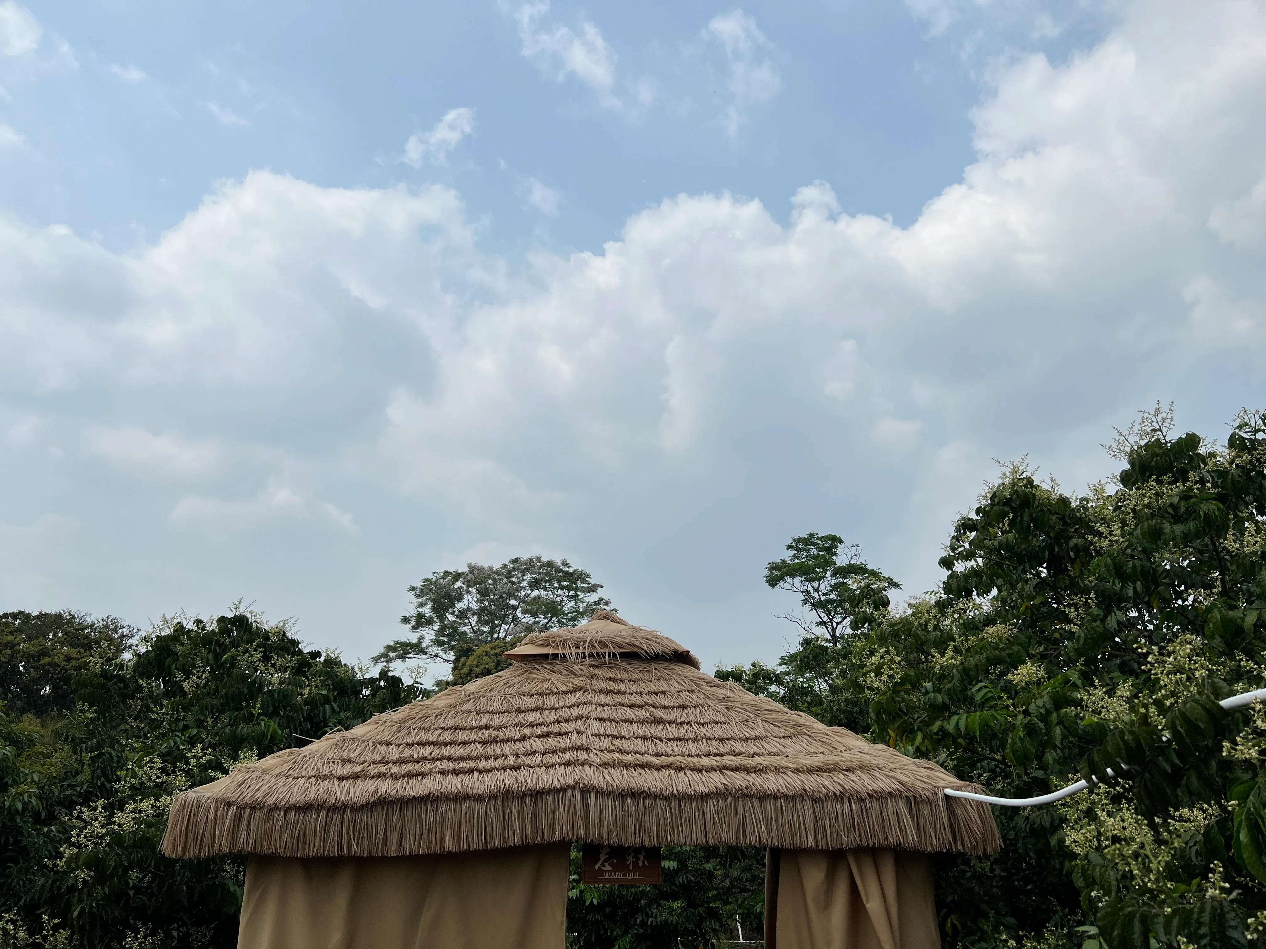 IMG_1861.jpeg